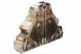 Tall, Colorful Petrified Wood Bookends - Washington #233266-2